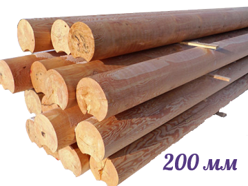 Бревно 200