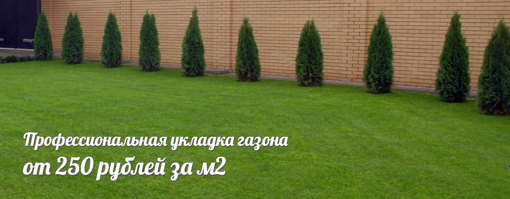 Купить газон Строй Комплект Про